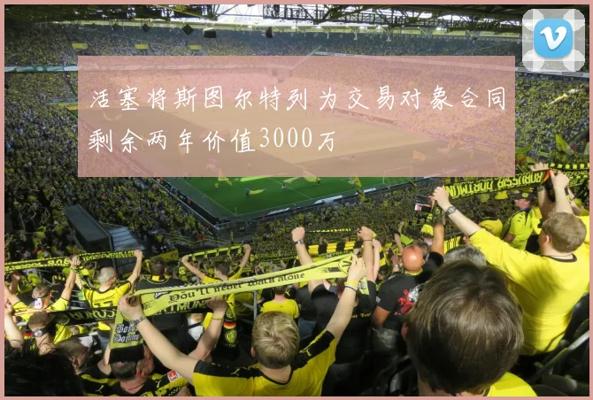 活塞将斯图尔特列为交易对象合同剩余两年价值3000万