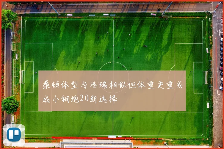桑顿体型与洛瑞相似但体重更重或成小钢炮20新选择